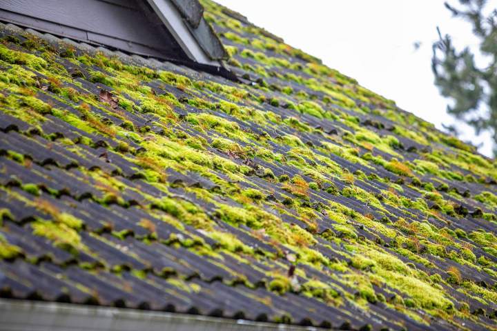 Nettoyage de toiture écologique à la vapeur basse pression